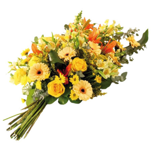 Ramo de Flores Esplendor de Cores Ramo de Flores Esplendor de Cores