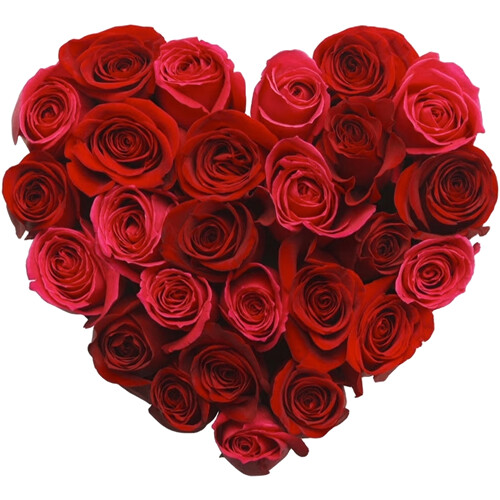 Coração de Flores Forte Despedida Coração de Flores Forte Despedida