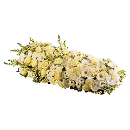 Palma de Flores Celestial Palma de Flores Celestial