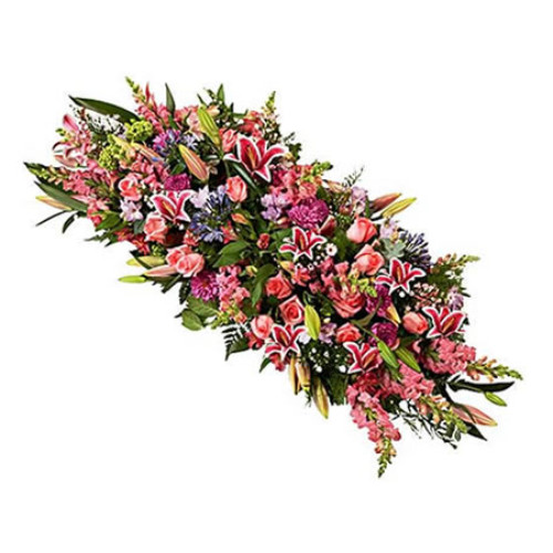 Palma de Flores Rosada Palma de Flores Rosada